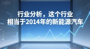 付费文章：行业分析，这个行业，相当于2014年的新能源汽车-比杰副业资源站