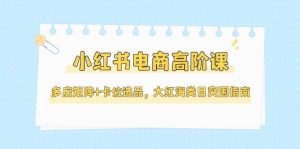 小红书电商高阶课，多店矩阵+卡位选品，大红海类目突围指南（更新5月）-比杰副业资源站