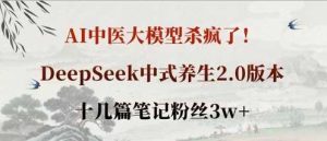 AI中医大模型杀疯了!DeepSeek中式养生2.0版本,十几篇笔记粉丝3w+-比杰副业资源站