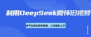 利用DeepSeek做怀旧视频，流量号多渠道变现能力强-比杰副业资源站