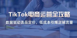 TikTok电商运营全攻略，数据驱动选品定价，低成本引爆店铺流量-比杰副业资源站