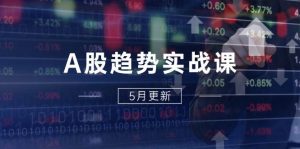 A股趋势实战课:主力动向+政策红利,2025全年策略5月更新-比杰副业资源站