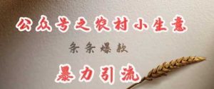 deepseek写农村小项目，条条爆款，暴力引流-比杰副业资源站