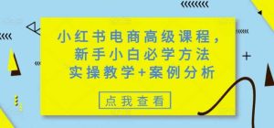 小红书电商高级课程，新手小白必学方法，实操教学+案例分析-比杰副业资源站