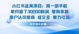 小红书蓝海项目，一部手机单月做了3W利润，小白也能月入过1W用户认可度高成交多-比杰副业资源站