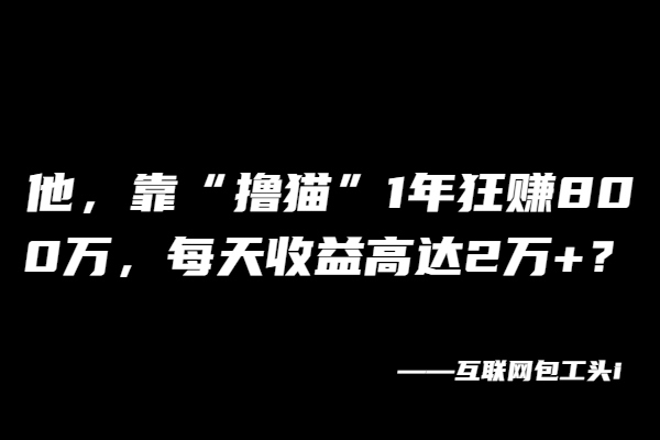 图片[2]-靠撸猫一年赚100万的方法分享
