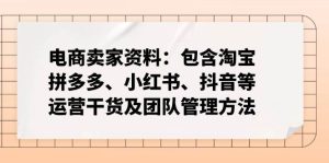 电商卖家资料：包含淘宝、拼多多、小红书、抖音等运营干货及团队管理方法-比杰副业资源站