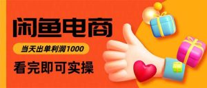 闲鱼高利润电商，入门到出单只需3小时，每天利润1000-比杰副业资源站