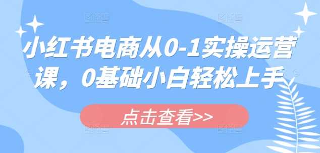 小红书电商从0实操运营课，0基础小白轻松上手