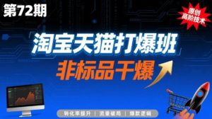 淘宝天猫打爆班原创高阶技术第72期，非标品干爆-比杰副业资源站