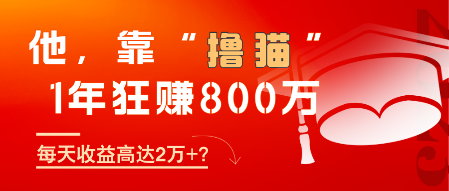 靠撸猫一年赚100万的方法分享