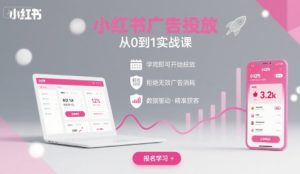 小红书广告投放从0到1的实战课，学完即可开始投放，拒绝无效广告消耗-比杰副业资源站