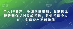 个人IP资产，小团队高变现，互联网全链路赚QIAN实战打法，助你打造个人IP，实现资产不断增值-比杰副业资源站