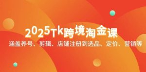 2025Tk跨境淘金课：涵盖养号、剪辑、店铺注册到选品、定价、营销等-比杰副业资源站