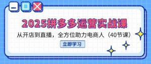 2025拼多多运营实战课,从开店到直播,全方位助力电商人(40节课)-比杰副业资源站