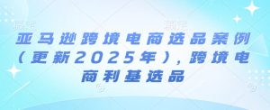 亚马逊跨境电商选品案例(更新2025年4月),跨境电商利基选品-比杰副业资源站