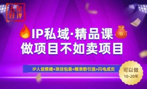 2025年“IP私域·密训精品课”，日赚3000+小白避坑年赚百万，暴力引流…-比杰副业资源站