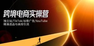 跨境电商实操营:独立站/TikTok/谷歌广告/YouTube,精准选品与高效引流-比杰副业资源站
