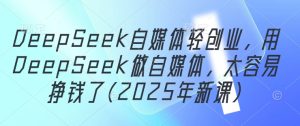 DeepSeek自媒体轻创业，用DeepSeek做自媒体，太容易挣钱了(2025年新课)-比杰副业资源站