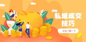 私域成交技巧，帮你从入门到精通，破解四大痛点，快速变现，轻松收钱-比杰副业资源站
