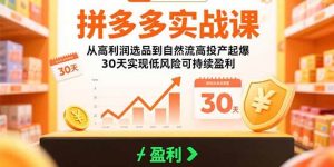 拼多多实战课:从高利润选品到自然流高投产起爆 30天实现低风险可持续盈利-比杰副业资源站