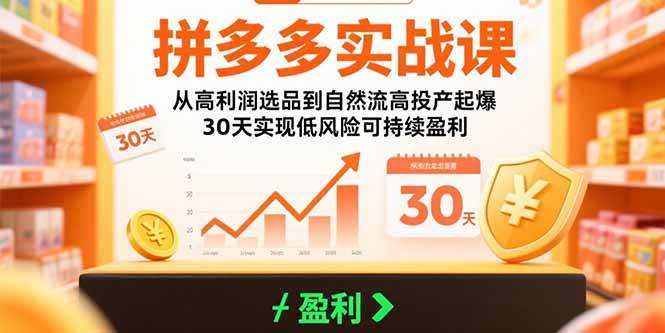 拼多多实战课:从高利润选品到自然流高投产起爆 30天实现低风险可持续盈利