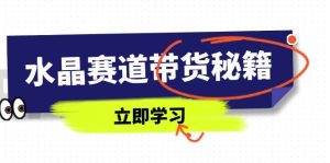 水晶赛道带货秘籍，国学结合、短视频起号、拍摄技巧、直播话术等内容-比杰副业资源站