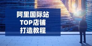 阿里国际站TOP店铺打造教程：涵盖平台到高阶，解决运营难题，提升询盘-比杰副业资源站