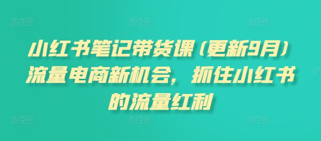小红书笔记带货课(更新25年9月)流量电商新机会，抓住小红书的流量红利 -1