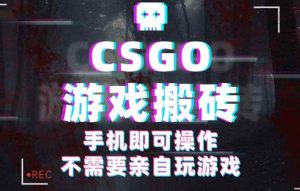 CSGO游戏挂机捡漏，单日扫货500+，年底小高峰上车可吃肉，手机即可操作… -1-比杰副业资源站
